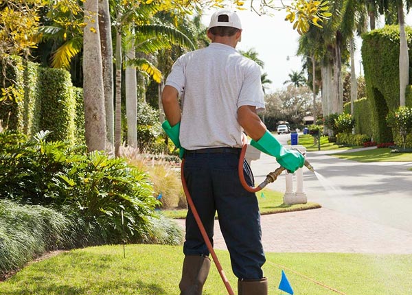 About North Amherst MA Pest Control Pros